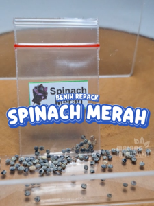 Benih Spinach Merah Unggulan Berkualitas bibit biji repack bayam sayuran hydroponik hidroponik