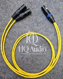 Dây canon 1 đầu cái ra 2 đầu đực CAF.Dây 2 line Sommer lõi đồng nguyên chất. Chiều dài 0.5m 1m 2m 3m.(Đơn giá: 1 sợi)