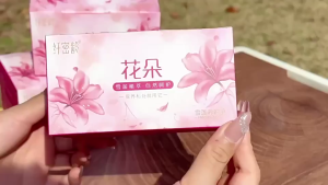 Băng nữ tính chăm sóc tư nhân đa năng She Lijing | Vệ sinh nhẹ nhàng giúp cải thiện mùi hôi và khó chịu riêng tư