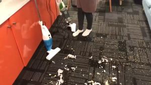 GreenHome High-power Vacuum Cleaners 2 In 1 Dust Collector Hand-held Dual-use Portable Vacuum