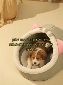Samudra - Biru - Angola Tempat Tidur Kucing Anjing M34 Pet Bed Sarang Hewan Peliharaan Kasur/Rumah Kucing