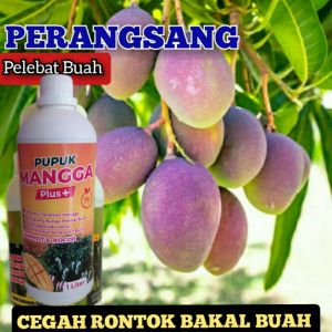 Pupuk Mangga Booster 1liter Organik Pupuk Pelebat Mangga Anti Rontok
