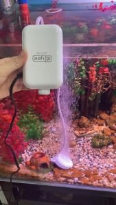 Máy sủi oxy bể cá Yee 1 vòi 2 vòi 4 vòi công suất lớn lưu lượng cao hoạt động êm ái