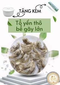 100gr TỔ YẾN THÔ TẶNG NHÍP_ tổ thô bể gãy vỡ siêu lớn