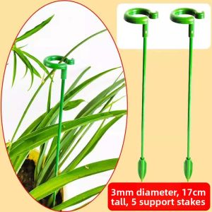 Stable Plant Stand Rod for Flowers and Succulents