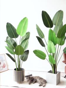 【Ready Stock】Artificial Plant 180/160/120CM Large Fake Banana Tree Leaves House Living Room Decor pokok hiasan人造植物