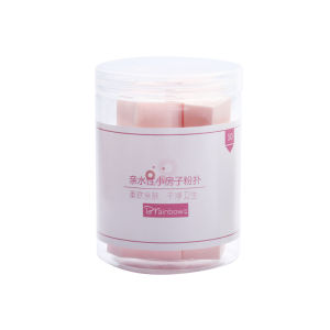 Brainbow | Dual-use for Dry and Wet Small House-shaped Makeup Sponge