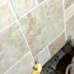Bộ Dụng Cụ Định Vị Gạch Ốp Tường 10 Món Điều Chỉnh Độ Cao Bằng Tay Dụng Cụ Xây Dựng Nâng Gạch Gốm Lên Tạo Bề Mặt Hoàn Thiện Tinh Tế