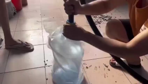 LENODI Vacuum Cleaner wet and dry 304 stainless vacuum for bed and sofa 1800W vacuum cleaners heavy duty 15L/18L/25L