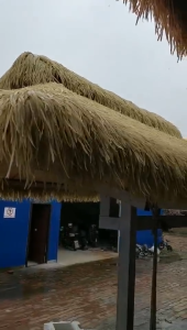 แฝกเทียม ฟางเทียม แฝกมุงหลังคา หลังคาหญ้าเทียม กันUV ทนไฟและทนไฟ ลดเสียง สําหรับ ตกแต่งหลังคาร้านค้าคาเฟ่ โรงแรม มีรูระบายน้ำ