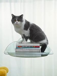 Newyorkbigsale เปลแมว เปลแมวติดกระจก  ที่นอนนอนแมวติดผนัง No.Y2151