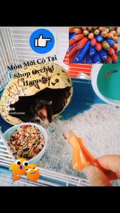 Xúc Xích Bổ Sung Đạm Cho Hamster/Sóc/Nhím Và Thú Nhỏ