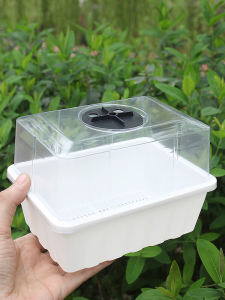 Herbaceous Plant Propagation & Succulent Seedling Tray: A Comprehensive Guide