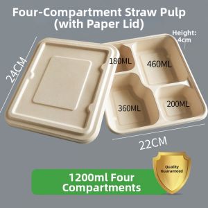 NUOXIAN | Biodegradable Pulp Meal Box