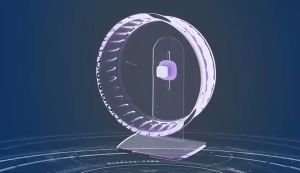 Hamster Silent Running Wheel 23cm Candy Colourful  Running Wheel Hamster Exercise Roller Jomtheone