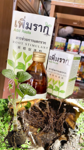 เพิ่มราก Add Roots สารช่วยการแตกราก ขนาด 500 ซีซี จำนวน 3 ขวด ฟื้นต้นโทรม กระตุ้นรากแข็งแรง เร่งราก