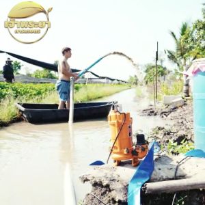 VERGIN ไดโว่ดูดน้ำ 1 นิ้ว  มอเตอร์ทองแดงแท้ ส่งสูง 12 เมตร  ใช้งานอย่างต่อเนื่องได้นาน ตัดอัตโนมัติ   สายไฟยาว 10 เมตร