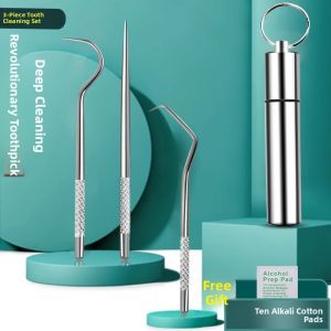 plys | Stainless Steel Toothpick for Portable Use with Dental Picking and Cleaning Functions