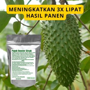 Pupuk Booster Sirsak Pelebat Organik Cepat Berbuah Lebat Besar Anti Rontok Pembesar Sirsak