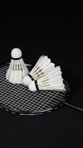 Elite X540 Feather Shuttlecocks