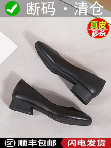 Leather Work Shoes Square Head Commute Style Soft Bottom Thick Heel Female Occupation Single Shoes Comfortable for Standing Long