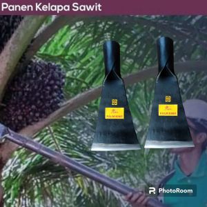 Dodos Sawit/Dodos Kls Palm King pro Asli Super Tajam Original