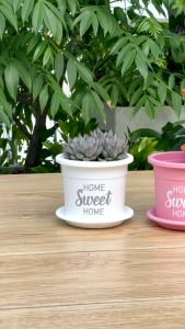 Chậu nhựa trồng cây VIETPOT Size13x11cm Sweet Home trồng hoa kiểng để sân vườn bàn.