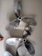 JVL Boat Propeller Trading