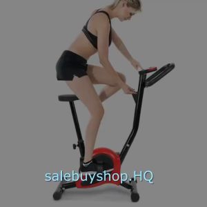 B&G Xe đạp tập thể dục tại nhà  EXERCISE BIKE-YS02 (PINK) có màn hình led tham khảo thông số