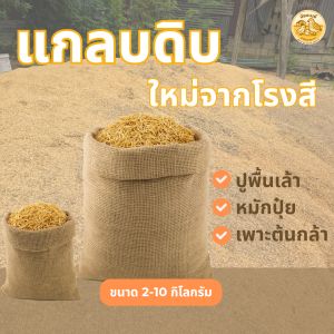 แกลบดิบ ใหม่จากโรงสี ปูพื้นเล้า หมักปุ๋ย เพาะต้นกล้า ขนาด 2-10 กิโลกรัม