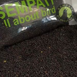 SEMPATI BIJI SAWI SEMPATI 200 GRAM PAKAN BURUNG BIJI SAWI BERSIH KENARI FINCH PAUD LOVEBIRD HARIAN