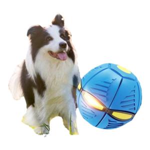 VOA | Interactive Pet Ball with Light and Bounce Durability for Dogs