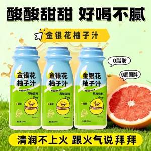 Sour Sweet Fresh Healthy Drink 220ml