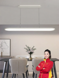 HUANGJIANG | Full Spectrum Eye-Protective Hanging Lamp