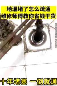 🔥Japan NO.1🔥 Sink Drain Dredge Cleaner Kitchen Sink Clean Bathroom Pipe Unclog Cleaning Dredging Agent Toilet Cleaner Drain Clog Remover 管道疏通剂 500ML