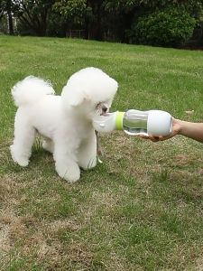 [HCM] Bình đựng nước và đồ ăn cầm tay cho Chó mèo khi đi dạo và đi du lịch - Hàng chuẩn như hình chất liệu tốt
