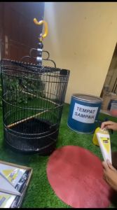 Alas Tatakan Kotoran Burung Perbox murai 1.2.3 dan kotak 1.2.3