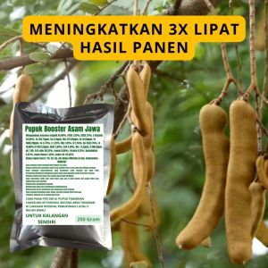 Pupuk Booster Asam Jawa: Cara Menggunakan dan Manfaatnya