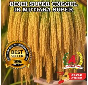 Benih padi IR MUTIARA SUPER UNGGUL KEMASAN 1KG