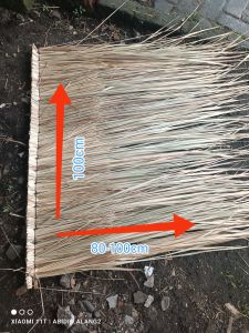 ATAP ALANG ALANG/paket  20 PCS