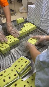 สาลี่กลิ่นกาแฟ 1+ ซอย 1+ มะลิ 1- เอกชัย สาลี่สุพรรณ