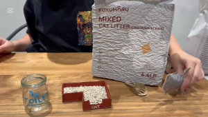 FUKUMARU Tofu Cat Litter/Cat Sand / Cat Litter / Cleaning Clump Tofu Litter / Gardenia Scent