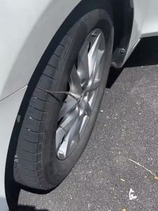 BAIRUITE | Stone Removal Tire Hook