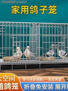 Large Extra Large Pigeon Cage Home Breeding Farming New Type Coop Pairing Pigeon House with Matching Accessories