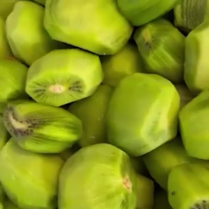 Premium Dried Kiwi Slices | Sweet & Tangy Delight from China | Available in 250g 500g and 1kg