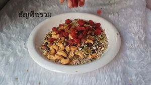 ธัญพืชรวม 9เทพ หอม กรอบ อร่อย เคี้ยวมัน เคี้ยวเพลิน ผลิตสดใหม่ ธัญพืชเพื่อสุขภาพ