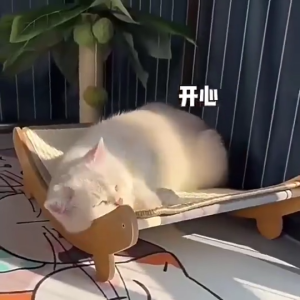 ที่ลับเล็บเปลนอน กระดานลับเล็บแมว ที่นอนแมว เสาลับเล็บแมวป่านศรนารายณ์ เตียงแมว ทนต่อการสึกหรอ จะไม่หล่นเศษ เก้าอี้พักผ่อนสำหรับแมว ของเล่นแมว