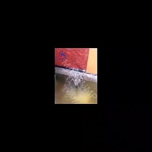 MAXPUMP HJ-743 Paket Komplit Mesin Air Mancur Kolam Mini Pompa Air Mancur Kolam Ikan MUDAH DIGUNAKAN & ANTI KARAT POMPA AIR AQUARIUM