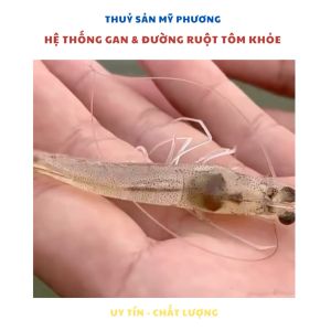 Thuôc Đường Ruột Tri Phân Trắng Cho Tôm Thẻ Ăn Tảo Độc Enzyme Men Vi Sinh Đường Ruột Cho Tôm Trống Đường Ruột Bị Bệnh Phân Trắng - LACZYME LIQUID - Chế Phẩm Sinh Học Nuôi Tôm Cá Ếch Lươn Baba - THUỐC THUỶ SẢN MỸ PHƯƠNG