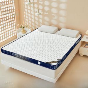 Thickened Memory Foam Mattress Latex Milk Silk Universal Design for Adults Students Dormitory Anti-pressure Four Seasons